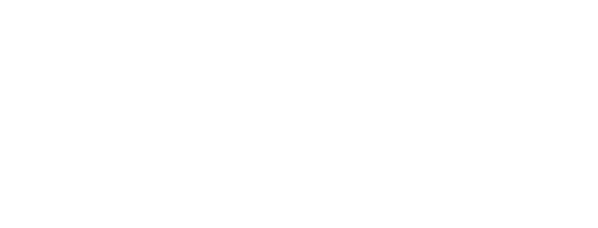 TDIS Logo